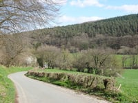 Sasserotte