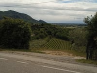 Sassonegro von Arquà Petrarca