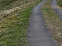 Satron Moor Road from Satron