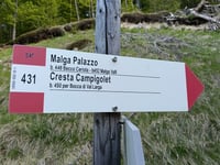 Scanuppia / Malga Palazzo
