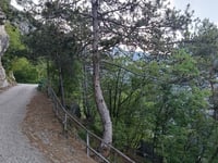 Scanuppia / Malga Palazzo