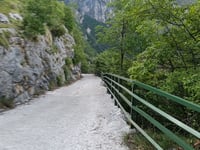 Scanuppia / Malga Palazzo