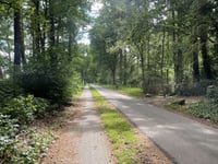 Schaapdijk desde De Hullen