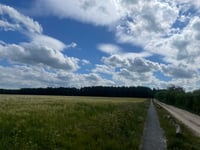 Schaapdijk desde De Hullen
