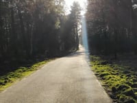 Schaapsallee from Laag-Soeren