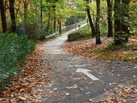 Schaapsdries von Heempark