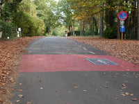 Schaapsdries über Henri Decleenestraat