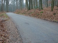 Bakenberg von Warnsborn