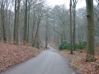 Bakenberg von Warnsborn