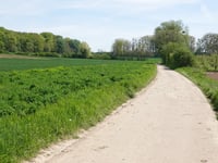 Schabosweg über Bieskuilstraat