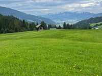 Schachenmoor von Gleiming