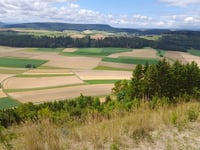 Schächer von Hondingen