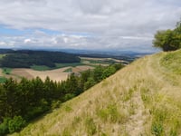 Schächer über Im Stieg