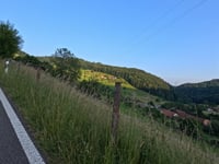 Schafmatt Passhöhe da Stüsslingen