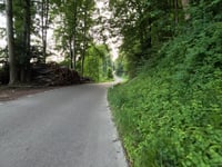 Schafmatt Passhöhe da Stüsslingen