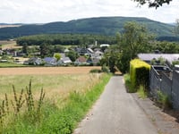Schafsbenden von Untermaubach