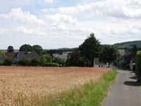 Schafsbenden von Untermaubach
