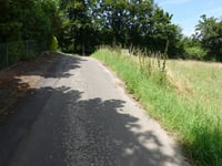Schafsbenden von Untermaubach