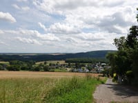Schafsbenden von Untermaubach