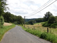 Schafsbenden von Untermaubach