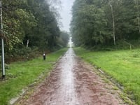 Muur van Emmen desde Schansstraat