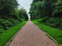 Muur van Emmen z Schansstraat