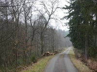 Schanzenkopf von Weser