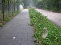 Schapendreef z Ossendrecht