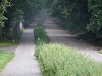 Schapendreef z Ossendrecht