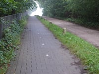Schapendreef z Ossendrecht