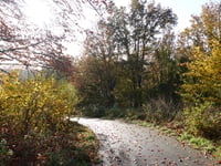 Scharberg von Julianakanaal