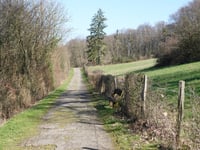 Schartstrasse por Tannenbergstrasse