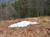 Schauinsland da Münstertal