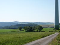 Scheedwee from Laangbaach