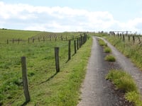 Scheedwee da Roupelsbaach