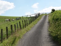 Scheedwee da Roupelsbaach