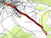 Scheitelkopf von Steinbach-Hallenberg