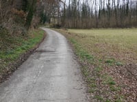 Schelberg über Hoddelsley