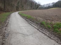 Schelberg über Hoddelsley