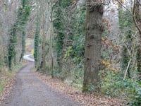 Schelberg über Hoddelsley