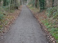 Schelberg über Hoddelsley