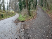Schelberg über Hoddelsley