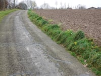 Schelberg vanuit Munstergeleen