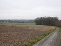 Schelberg vanuit Munstergeleen
