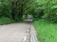 Schelberg via Windraak