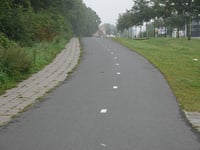 Scheldeweg von Hoogerheide