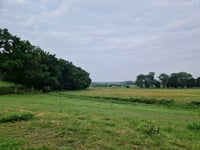 Scheldeweg da Zandfort