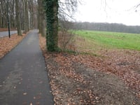 Schelmseweg von Oosterbeek