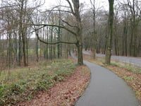 Schelmseweg von Oosterbeek