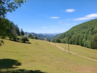 Scheltenpass von Ramiswil